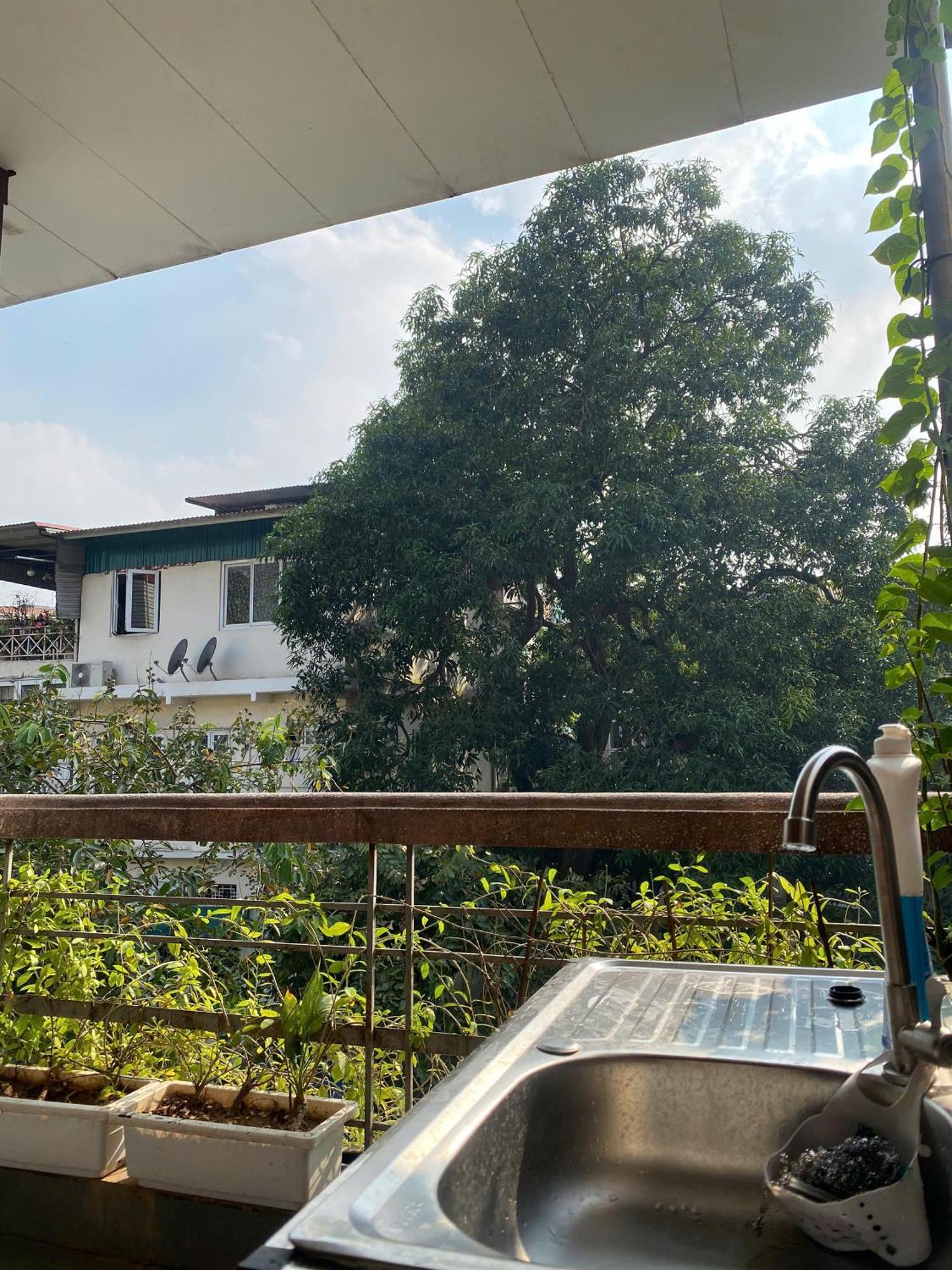 Hanoi New Comb Hostel ภายนอก รูปภาพ